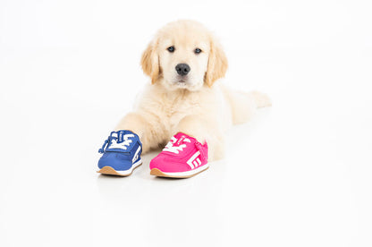 Fuchsia BILLY Retro Jogger